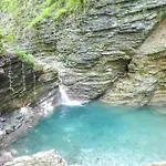 Cocca San Donato (Veneto)