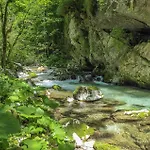 Cocca San Donato (Veneto)