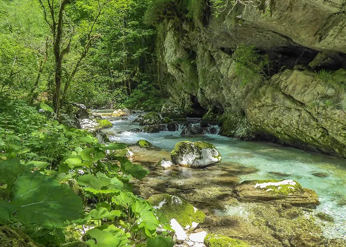 Cocca San Donato (Veneto)