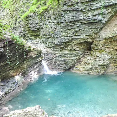 Cocca San Donato (Veneto)