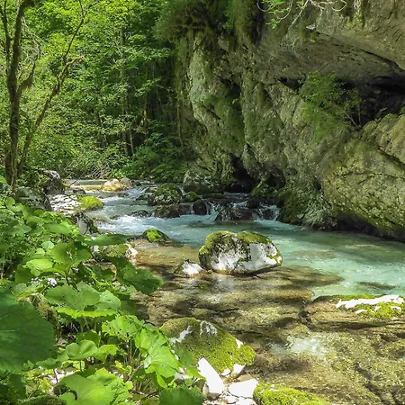 Cocca San Donato (Veneto)