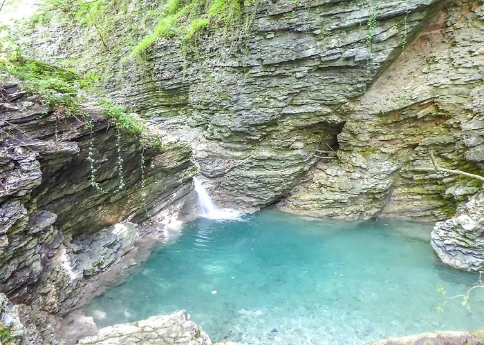 Cocca San Donato (Veneto)